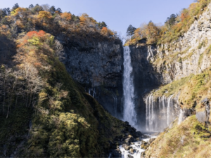 From Tokyo: Private Nikko World Heritage Sights One Day Trip